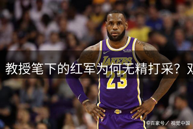 教授笔下的红军为何无精打采？双重标准引争议
