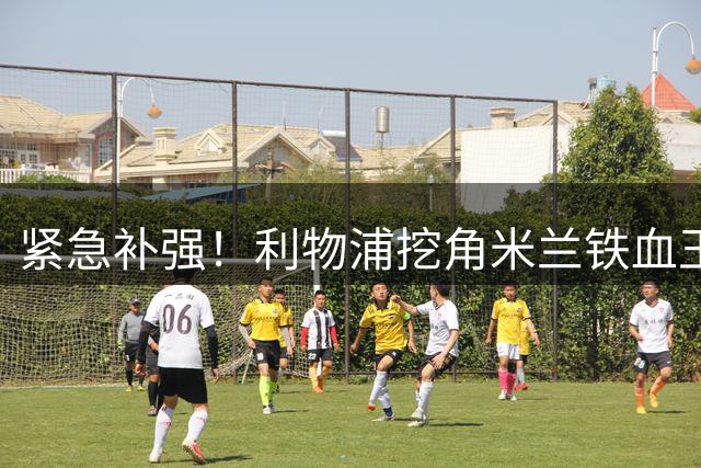 紧急补强！利物浦挖角米兰铁血王牌，伊劳拉锁定完美拼图