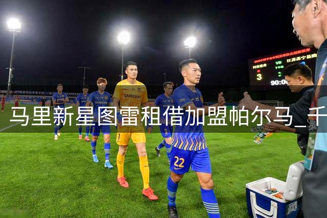 马里新星图雷租借加盟帕尔马 千万欧元买断条款引关注